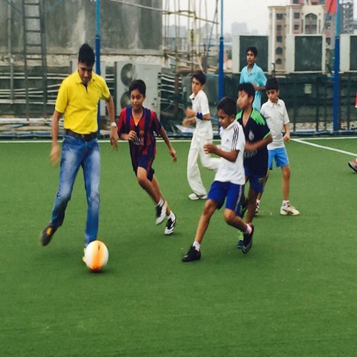 Artificial Multi-Sport Cricket Turf - Image 5