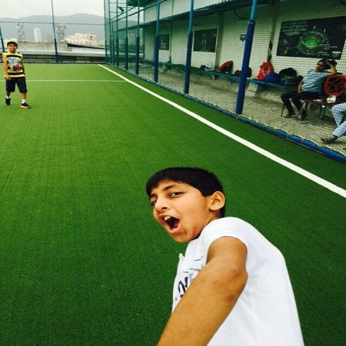 Artificial Multi-Sport Cricket Turf - Image 4